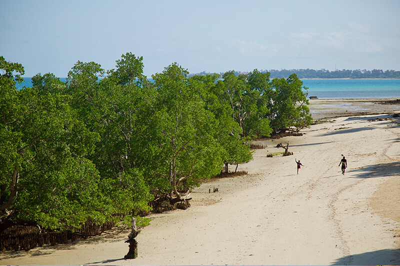 Conservation Efforts in Zanzibar’s Marine Ecosystem